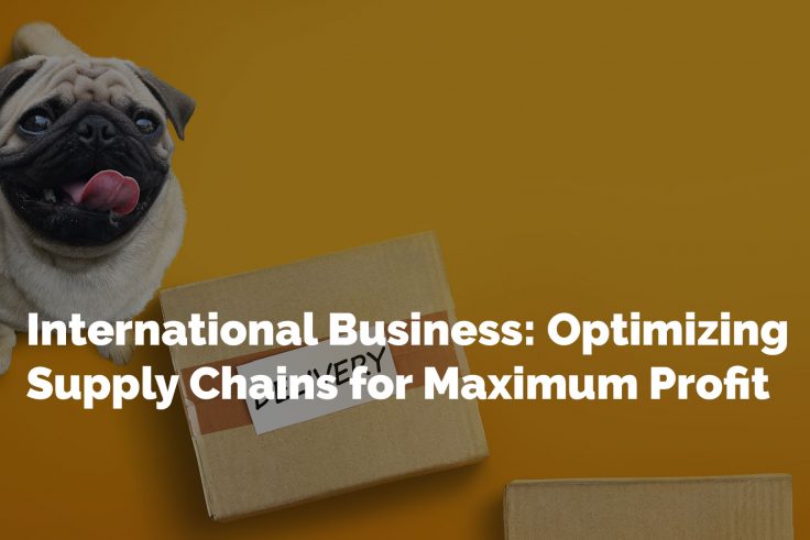 International Business: Optimizing Supply Chains for Maximum Profit